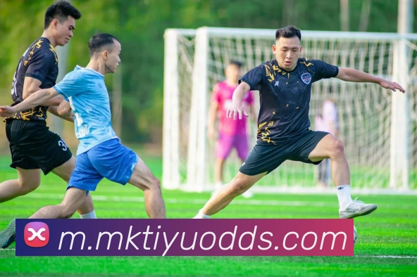 App Interface Preview