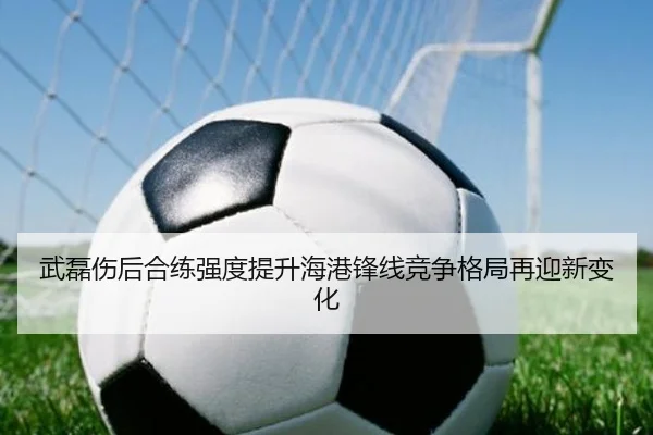 武磊伤后合练强度提升海港锋线竞争格局再迎新变化 - MKSPORTS